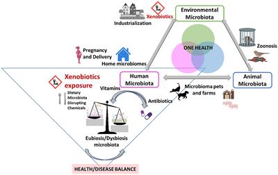 Editorial: Risk of dietary hazardous substances and impact on human microbiota: possible role in several dysbiosis phenotypes, volume II